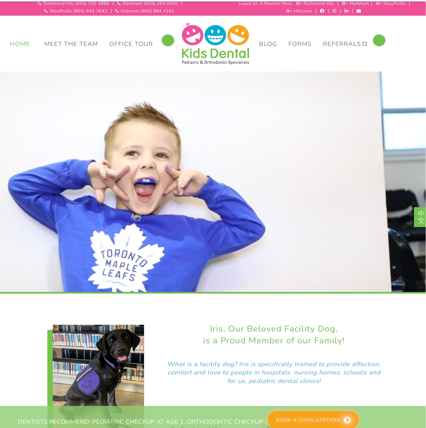 Website Before Image