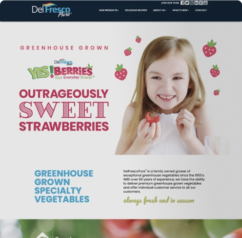 Website Before Image