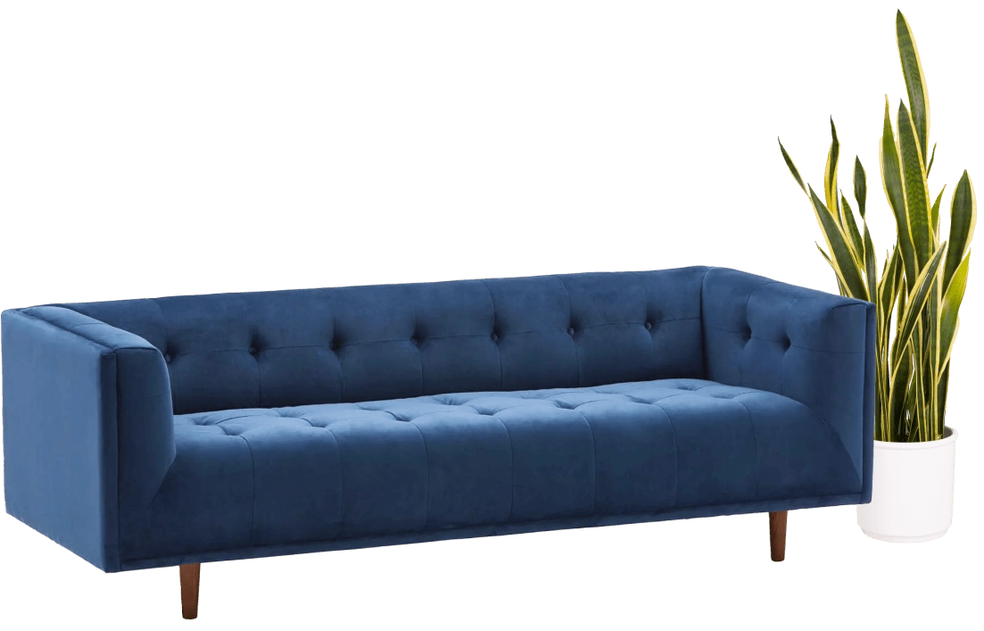 Visual image for form