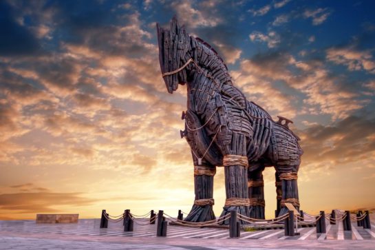 Always Ask Why, Trojan Horse