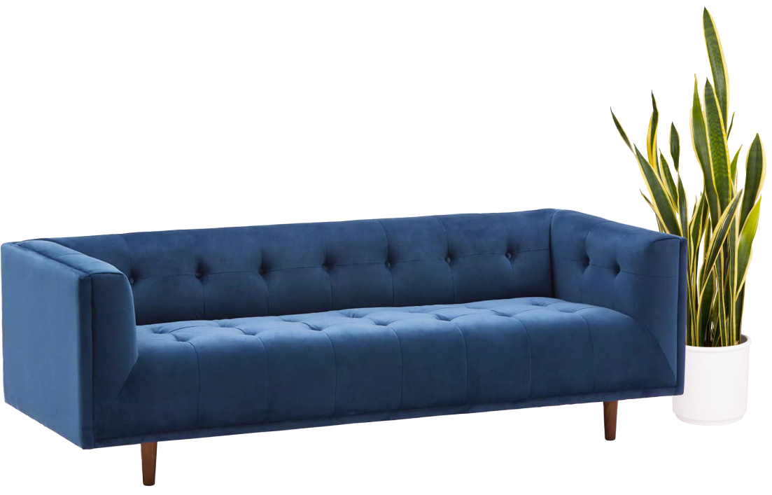 Visual image for form
